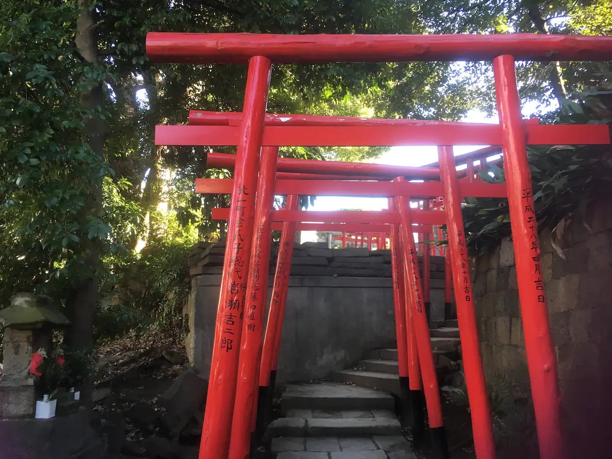Activity image 