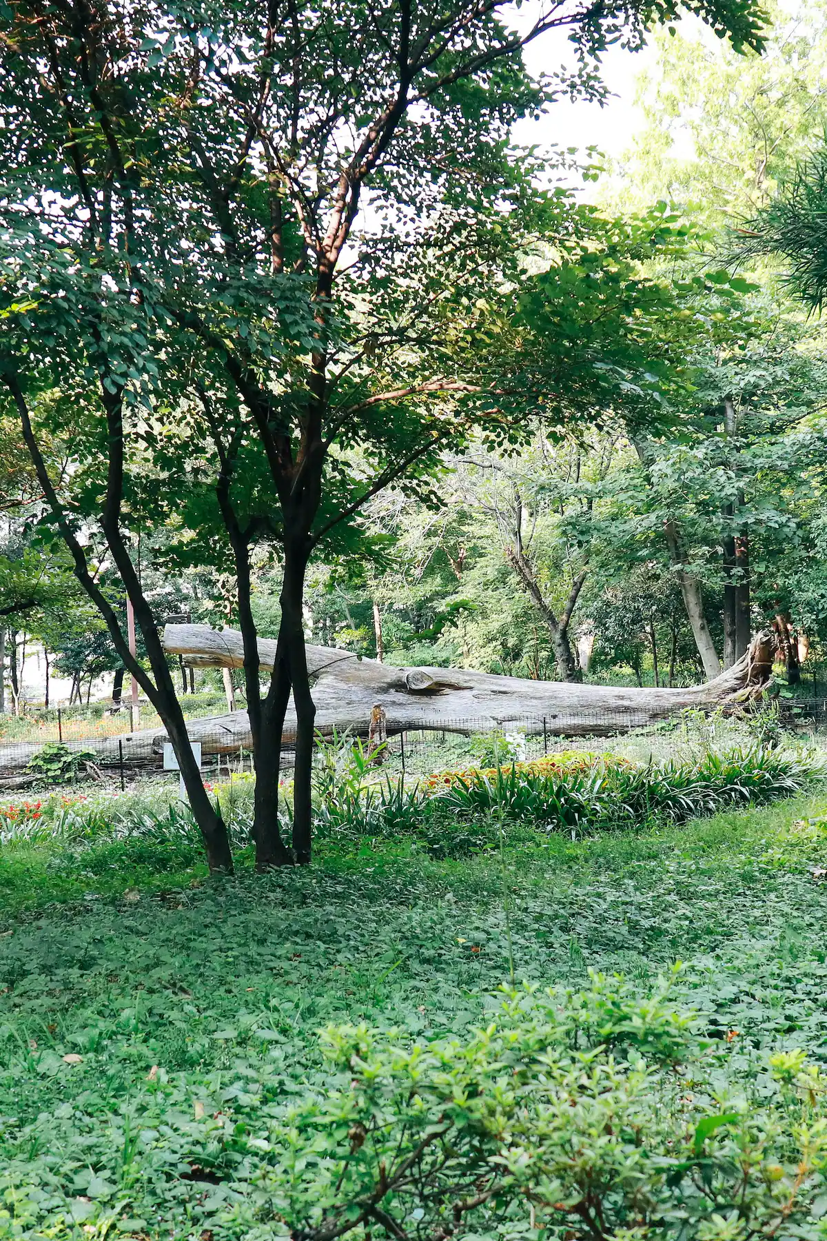 Activity image 