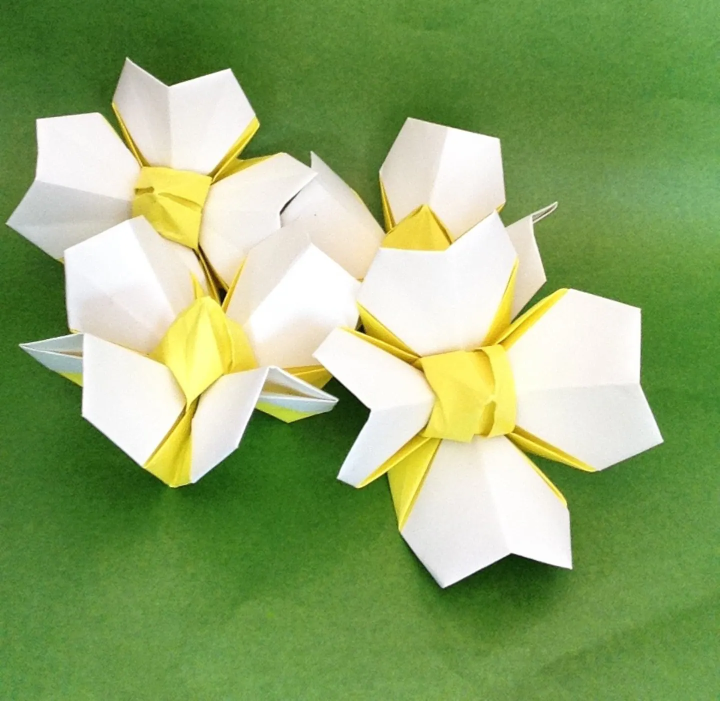 activity image