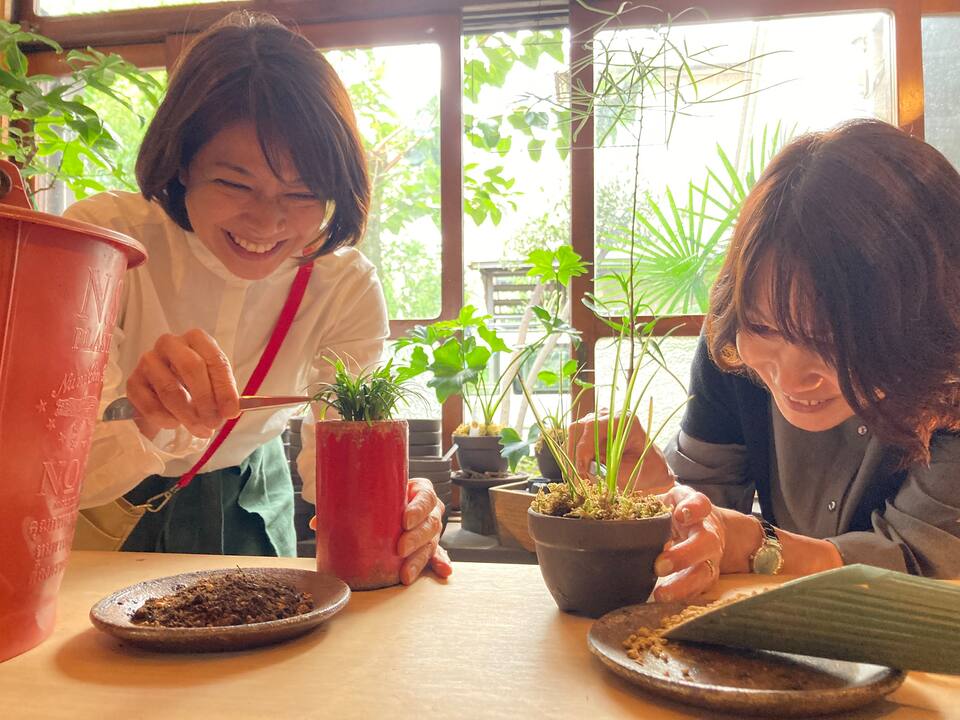 Activity image